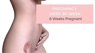 Your Pregnancy Week-by-Week - 6 Weeks Pregnant