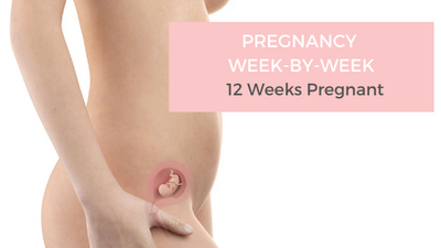 Your Pregnancy Week-by-Week - 12 Weeks Pregnant