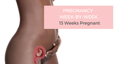 Your Pregnancy Week-by-Week - 13 Weeks Pregnant