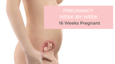 Your Pregnancy Week-by-Week - 16 Weeks Pregnant