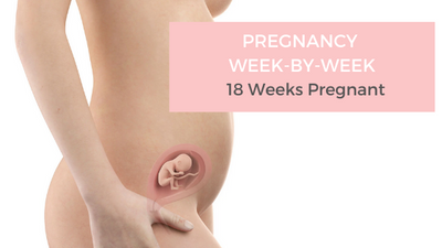 Your Pregnancy Week-by-Week - 18 Weeks Pregnant