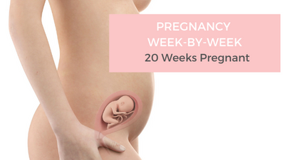 Your Pregnancy Week-by-Week - 20 Weeks Pregnant