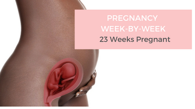 Your Pregnancy Week-by-Week - 23 Weeks Pregnant