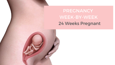 Your Pregnancy Week-by-Week - 24 Weeks Pregnant