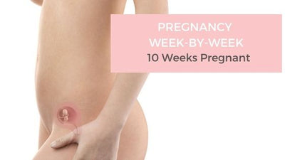 Your Pregnancy Week-by-Week - 10 Weeks Pregnant