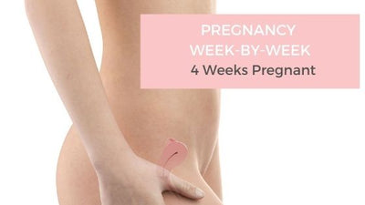 Your Pregnancy Week-by-Week - 4 Weeks Pregnant