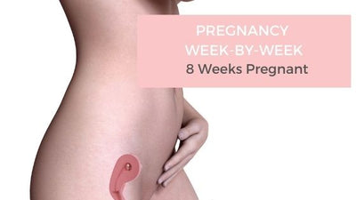 Your Pregnancy Week-by-Week - 8 Weeks Pregnant