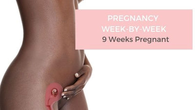 Your Pregnancy Week-by-Week - 9 Weeks Pregnant